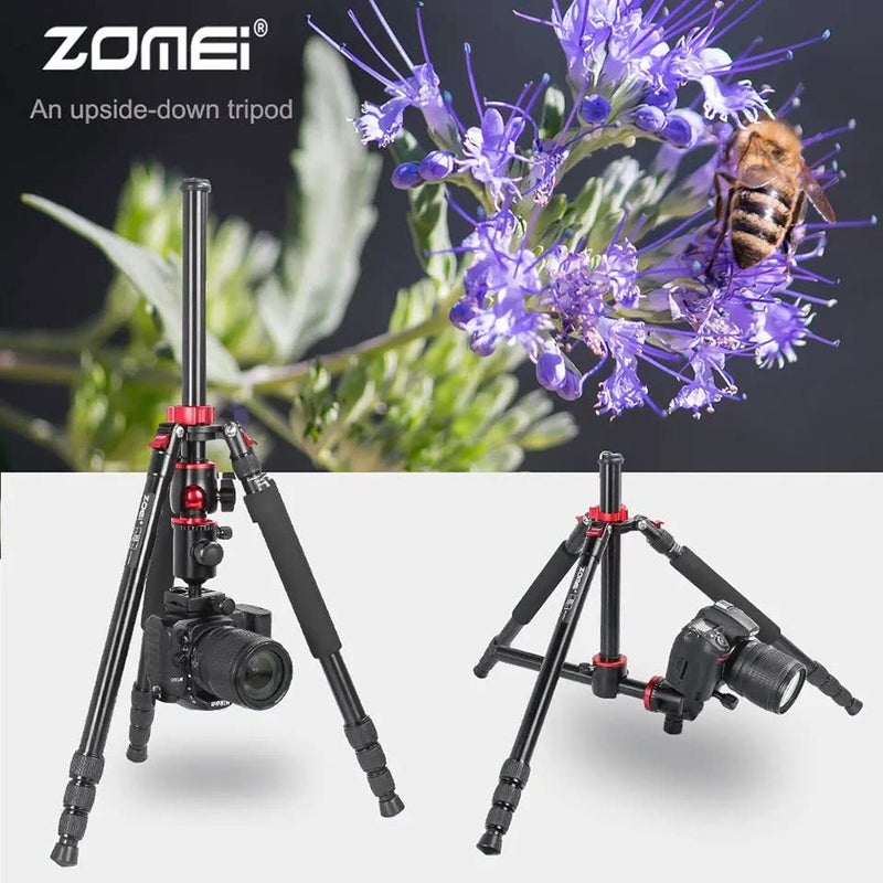 ZOMEi 75'' Tripod,Camera Tripod for DSLR,Ball Head Tripod Professional Tripods 4 Section Horizontal Tripod with 360 Degree Ball Head Plate for Canon DSLR DV Scope Camcorder and Projector - Image 5